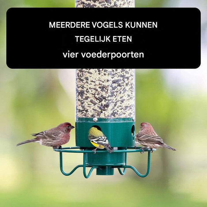 Eekhoornbestendige vogelvoederbak